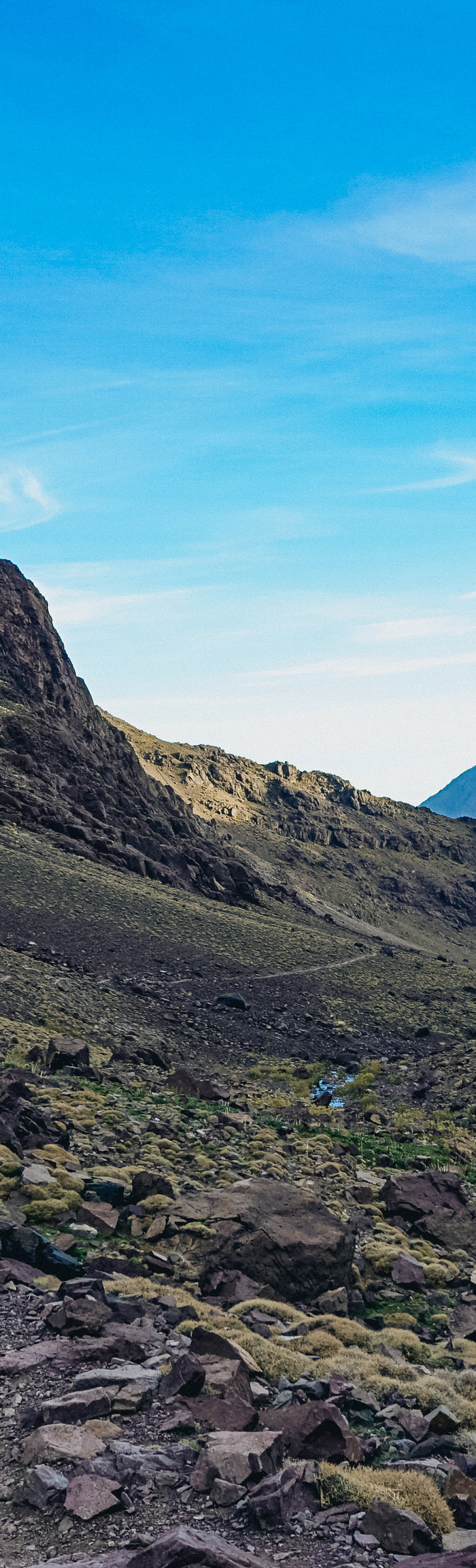 <h4><strong>About AuroraPeakGear</strong></h4>